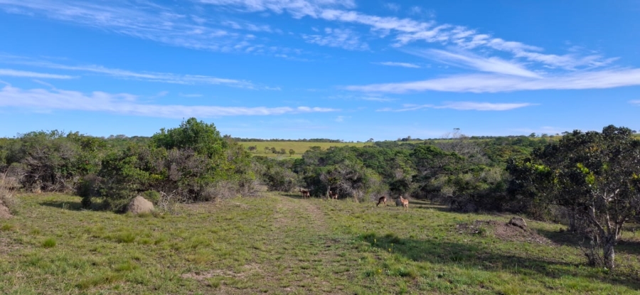 4 Bedroom Property for Sale in Sunrise On Sea Eastern Cape